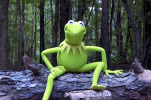 Kermit the Frog sitting in a tree