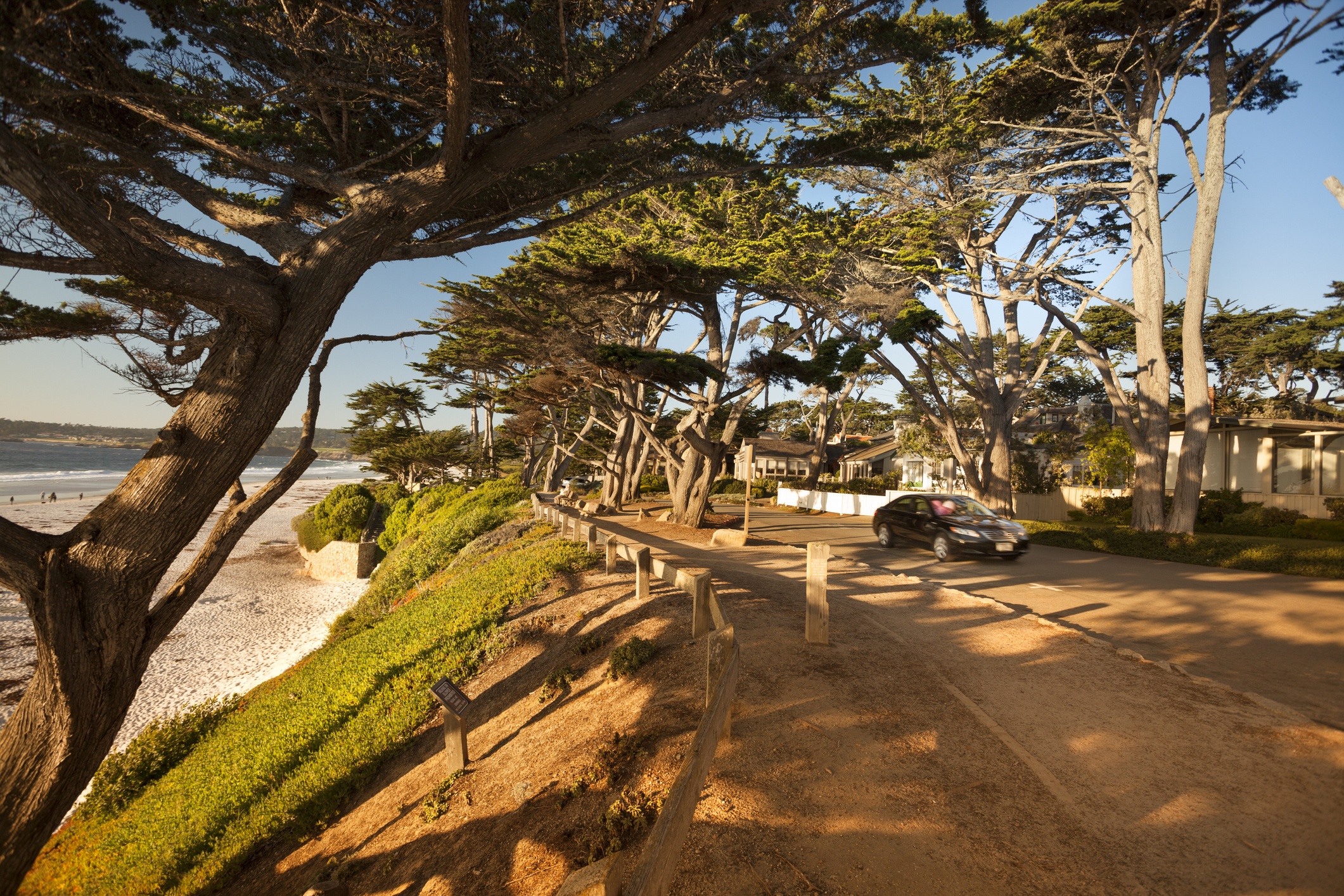 Cypress  Property Management Banner