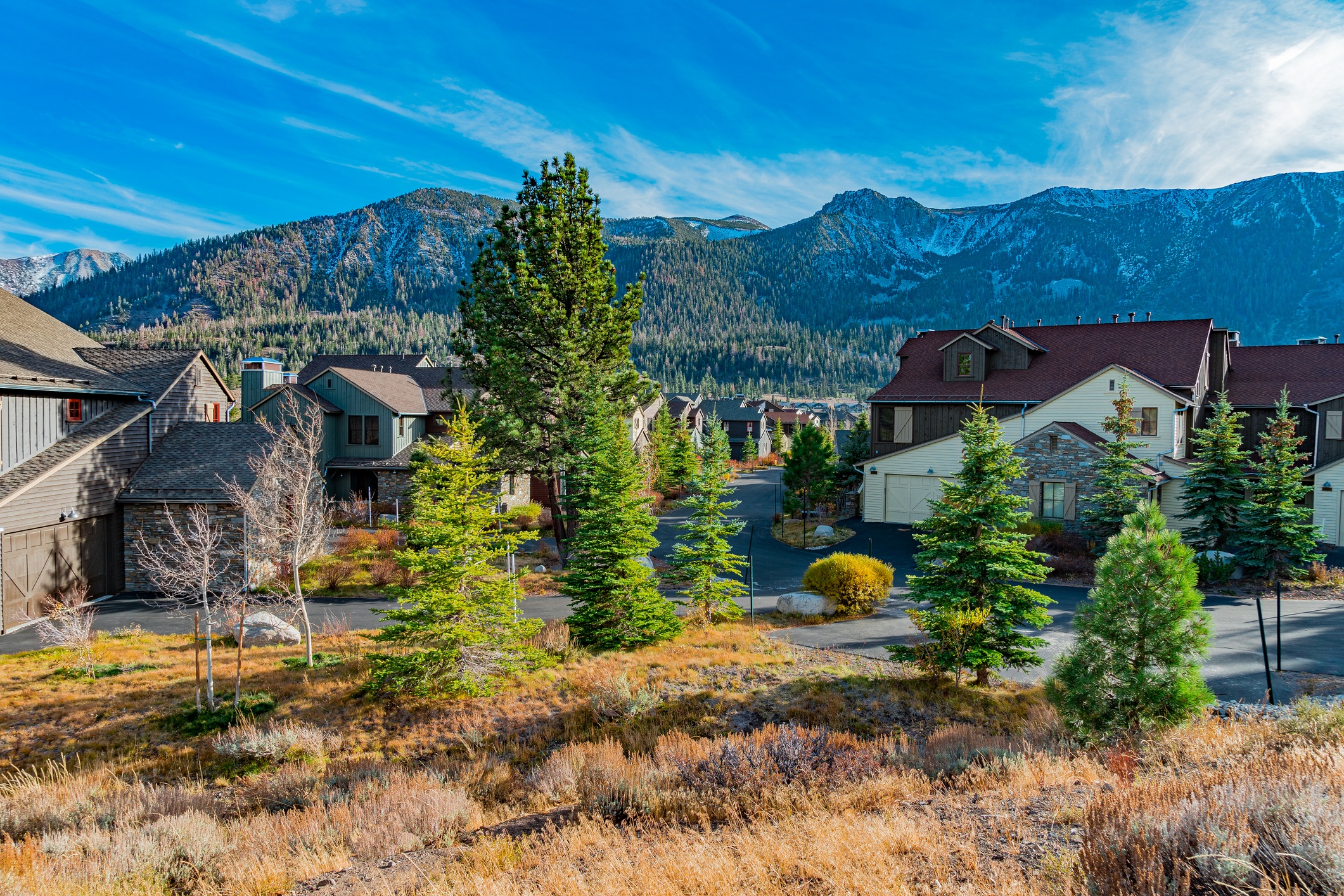 Foothill Ranch  Property Management Banner