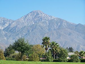 Alta Loma Alta Loma